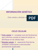 Clase - Informacion Genetica