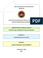 Informe 1 - Metabolismo de Glucosa - Larico Mamani, Alex Roberto