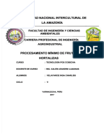 PDF Procesamiento Minimo de Frutas y Hortalizas DD