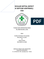 (Defek Septum Ventrikel) VSD: Ventricular Septal Defect