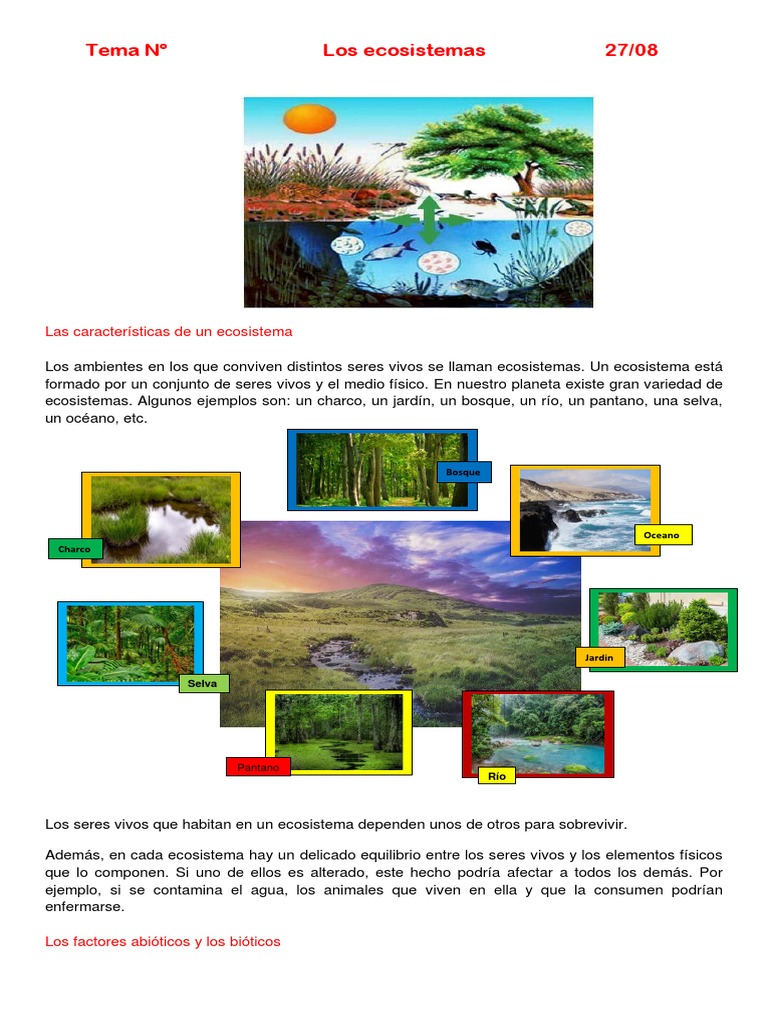 Tipos y ejemplos de ecosistemas | PDF | Ecosistema | Suelo