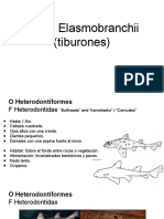 Lab Peces 2 - Final