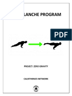 Full Planche Program - ZERO GRAVITY