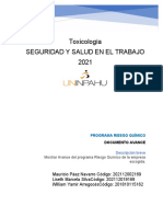 Documento Avance Programa Riesgo Químico