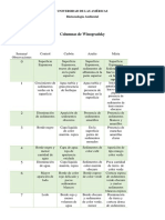 Informe de Columnas de Winogradsky