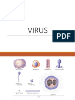 Virus