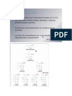 Prac RCH 23 de Marzo