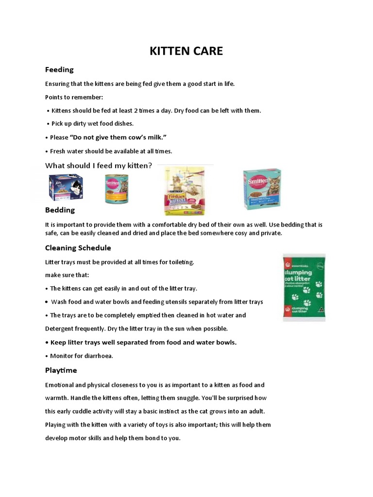 Essential Kitten Care Guide | PDF