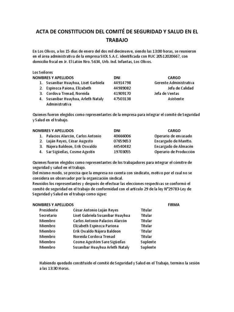 Acta de Constitucion Del Comité de Seguridad y Salud en El Trabajo ...