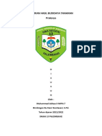 Laporan Hasil Budidaya Tanaman