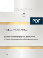 Salin3-Bagian-bagian Sel Dan Fungsinya, Pembelahan Sel