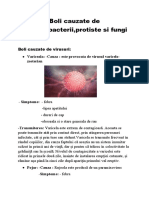 Boli Cauzate de Virusuri, Bacterii, Protiste Si Fungi