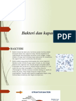 Bakteri Dan Kapang - Fathur Ali