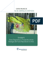 Claves diagnósticas y terapéuticas de las patologías del tracto reproductor en aves