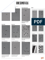 VETSCAN SA Urine Sediment Atlas ABX 00174