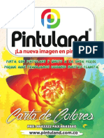 Carta de Colores Pintuland