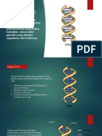 DNA & GEN Kelas 12-Dikonversi