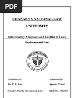 PDF Pil and Adoption DD