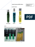 Clarence Theodosius - 2443019212 - Latihan Penentuan MPN Coliform