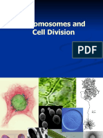 Chromosomes and Cell Division: The Basis of Heredity /TITLE