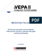 Medicina Felina FC 2020