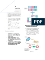 Genetic Engineering Igcse 9-1