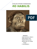 Homo Habilis 1BACHA