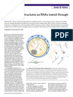 Tracking Rna Structures As Rnas Transit Through The Cell: News & Views
