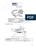 Agni Annisa Putri - 004 - Lembar Kerja Amphibi Sementara
