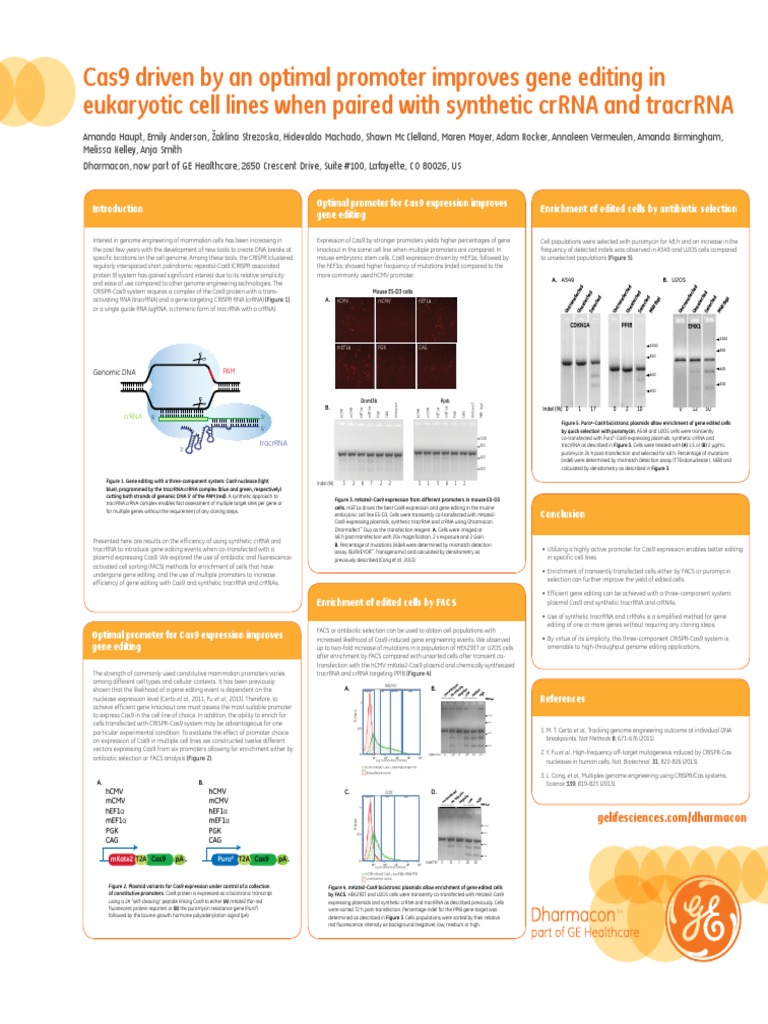 Poster Edit R Genome Engineering | PDF | Gene | Promoter (Genetics)