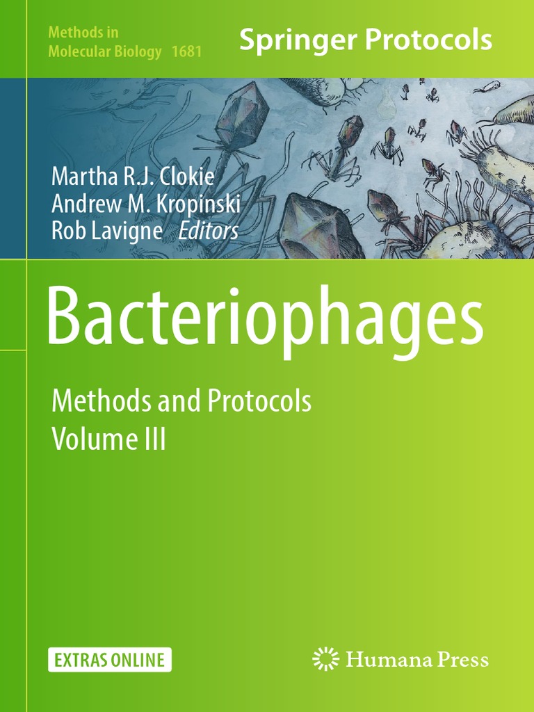 Bacteriophage | PDF | Bacteriophage | Adsorption