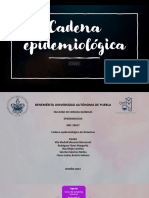 Cadena Epidemiológica - Rotavirus - Epidemiologia (1) 21