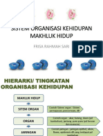 Sistem Organisasi Kehidupan Makhluk Hidup