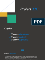 Proiect TIC