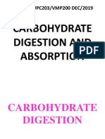 CHOs Digestion & Absorption