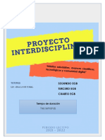Proyecto Interdisciplinario Basica Elemental