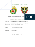 Trabajo Aplicativo PNP y MP Beatriz