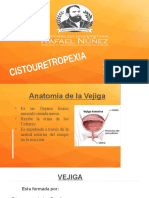 Cistouretropexia Lista