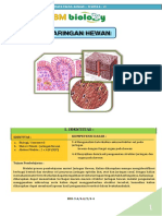 ukbm Jaringan Hewan dafa faizul - XI MIPA 8 - 15