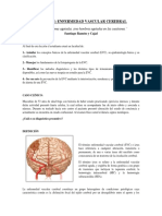 3 - Enfermedad Vascular Cerebral