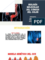 Biología Molecular Del Cáncer Del Colon