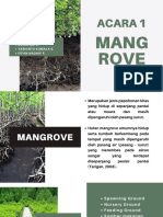 Acara 1 Mangrove