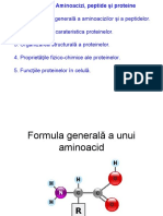 Aminoacizi Peptide Proteine