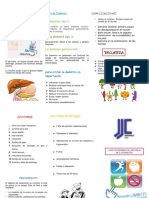 Triptico Diabetes