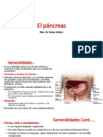 El Pancreas Corregido