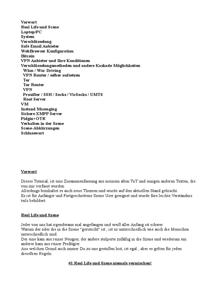 Szene Guide 2.0 by Ebola | PDF