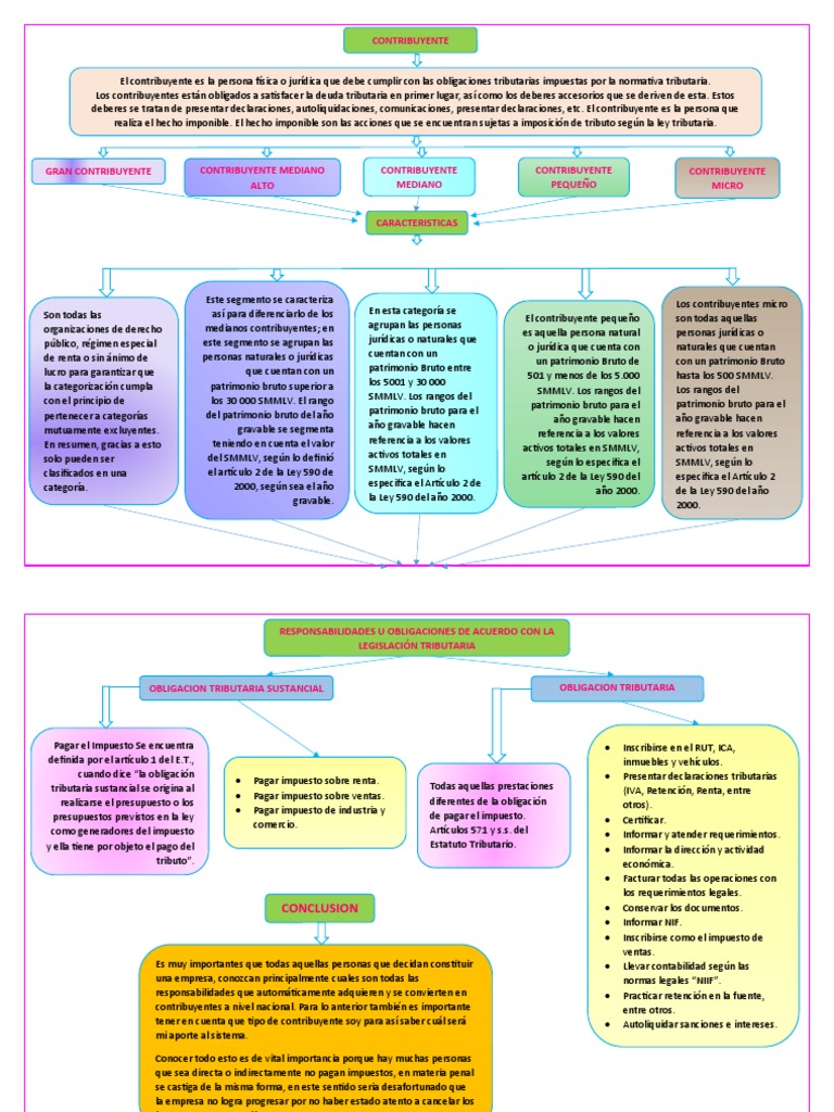 Tipos de Contribuyentes y Obligaciones | PDF | Impuestos | Contribuyente