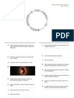 A C D E F T U V X Z: Sistema Rerpoductor Humano