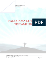 Panorama Do Novo Testamento