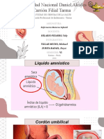 Placenta y Anexos Fetales